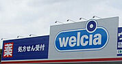 ウエルシア南柏店（570m）