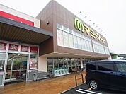  マミーマート柏十余二店（967m）