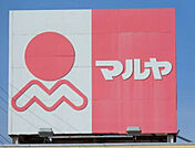マルヤ高柳店（536m）