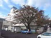 柏たなか病院（700m）
