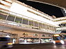 周辺：柏駅西口バス乗り場（800m）