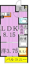 アルベロ柏 1LDKの間取図画像