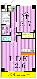KalmiaEast 1LDKの間取図画像