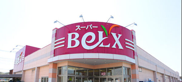 画像19:BeLX（ベルクス） 柏つくしが丘店（431m）