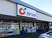 カワチ薬品 小山西店（1247m）