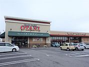フードオアシスOTANI（オータニ） 小山店（483m）