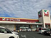 ヨークベニマル小山ゆうえんち店（384m）