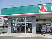 ドラッグセイムス 乙女店（749m）