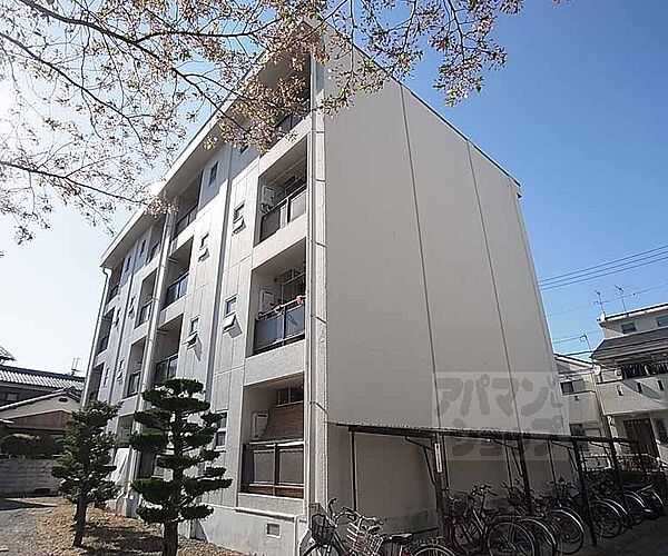 大北マンション 1-205｜京都府長岡京市友岡一丁目(賃貸マンション2K・2階・34.02㎡)の写真 その3