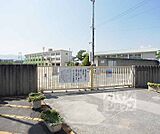 第三向陽小学校まで10m