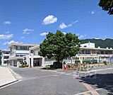 安詳小学校まで600m