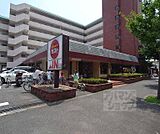 ガスト京都西京極店まで550m
