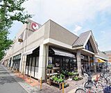 マツモト 上桂店まで220m