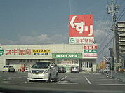 その他周辺「スギドラッグ藤方店まで197ｍ」