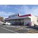 ドラックストア「ココカラファイン渋見店まで1100ｍ」