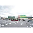 ドラックストア「ジップドラッグ一身田店まで2273ｍ」