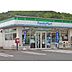 周辺：コンビニ「ファミリーマート津栄町二丁目店まで1117ｍ」