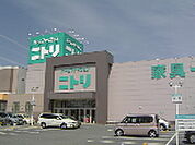ホームセンター「ニトリ津店まで1746ｍ」