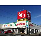ドラックストア「スギ薬局藤方店まで637ｍ」