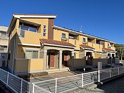 ハイシード平和