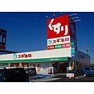 ドラックストア「スギ薬局津新町店まで371ｍ」