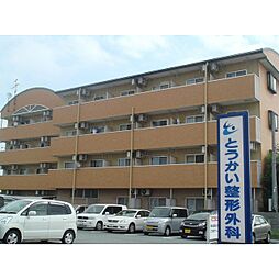Sophia河芸