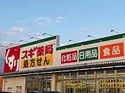 ドラックストア「スギ薬局津港町店まで772ｍ」