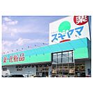 ドラックスギヤマ