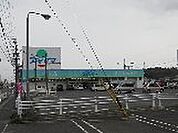 ドラックストア「ドラッグスギヤマ菰野店まで331ｍ」