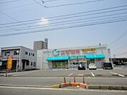 ドラックストア「スギ薬局末永店まで873ｍ」