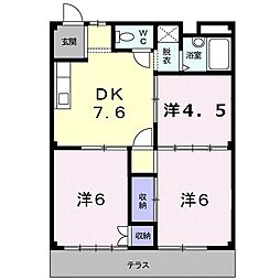 シティハイツさざらいA 1階/1D