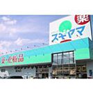 ドラックストア「ドラッグスギヤマときわ店まで816ｍ」