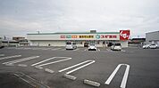 ドラックストア「スギ薬局玉垣店まで1101ｍ」