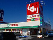 ドラックストア「スギ薬局鈴鹿寺家店まで839ｍ」