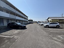 6 / 13