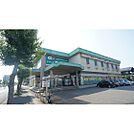 ドラックストア「ドラッグセイムス平田店まで253ｍ」