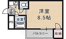 PINE TREE（パインツリー）