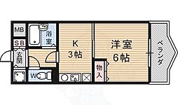 アルカディアシティ 4階/-