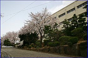 フラッツ横浜戸塚  ｜ 神奈川県横浜市戸塚区下倉田町（賃貸マンション2LDK・2階・55.66㎡） その19