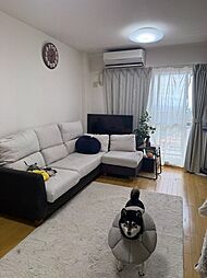 室内の画像
