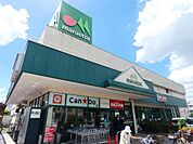 マルエツ 与野店（371m）