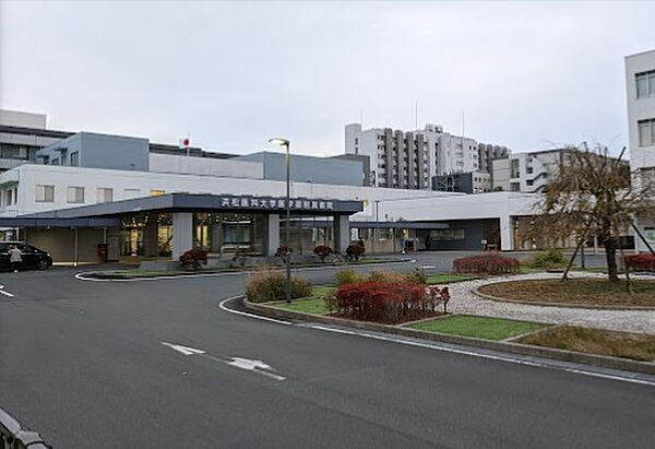 画像22:浜松医科大学医学部附属病院