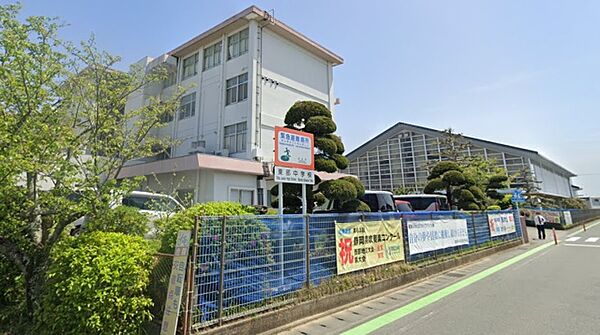 グレイスヴィラ 103｜静岡県浜松市中央区領家３丁目(賃貸マンション1LDK・1階・46.23㎡)の写真 その15