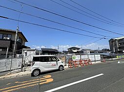 プレシャス初生
