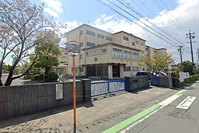 アークプラネット 106 ｜ 静岡県浜松市中央区中郡町（賃貸マンション2LDK・1階・60.18㎡） その17