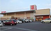 ベルク 松戸河原塚店まで徒歩10分（870m）