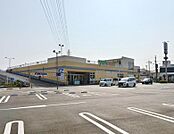 ヨークマート 青葉台店まで徒歩約11分（740ｍ）
