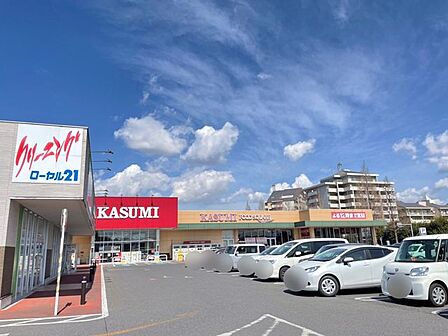 カスミフードスクエア西の原店 徒歩4分 320m
