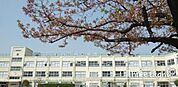 足立区立渕江小学校 徒歩4分。 260m