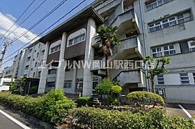 フィネス日和  ｜ 岡山県岡山市北区奉還町4丁目（賃貸マンション1LDK・2階・41.79㎡） その30